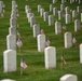 Flags In 2026 at Arlington National Cemetery