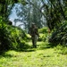 94th AAMDC's BSC 10-Mile Ruck  March