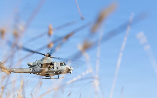 Marines with V2/5 and 3rd LAR conduct EOTG TRAP course