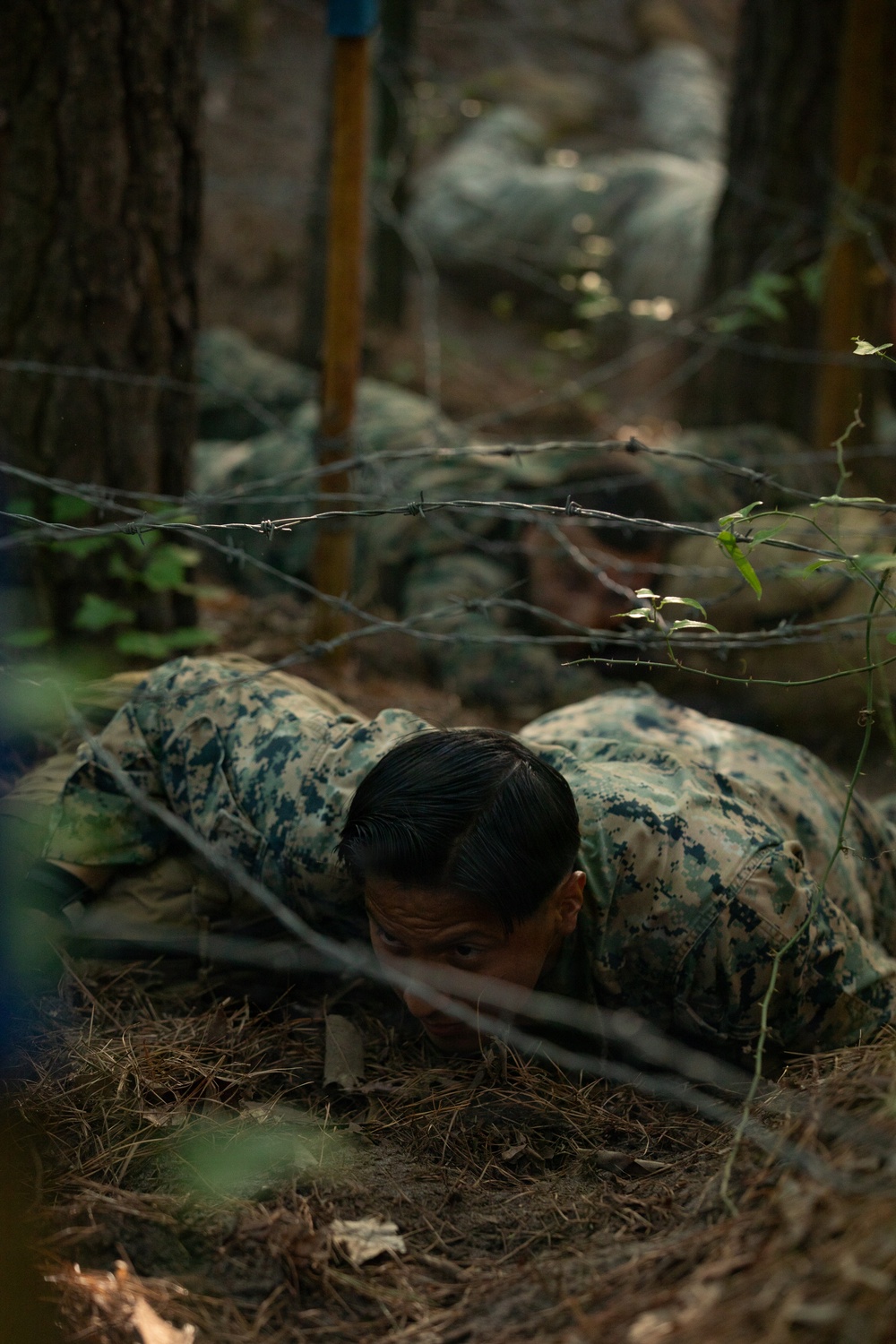 2nd Marine Logistics Group Improves Combat Readiness with Endurance Course