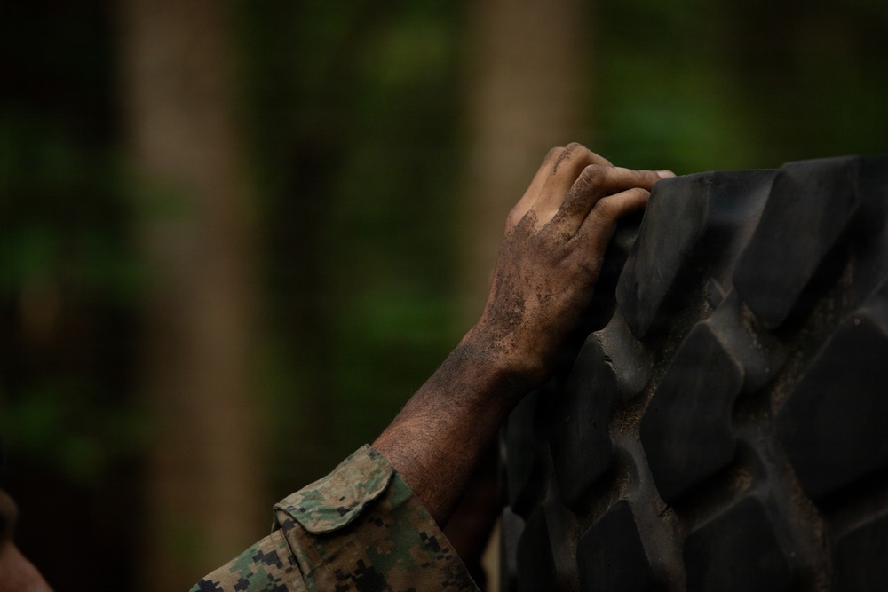 2nd Marine Logistics Group Improves Combat Readiness with Endurance Course