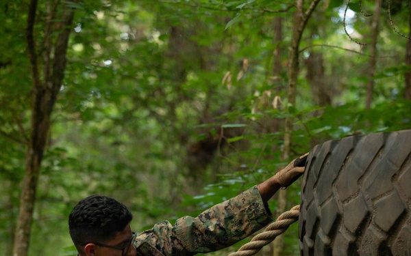 2nd Marine Logistics Group Improves Combat Readiness with Endurance Course