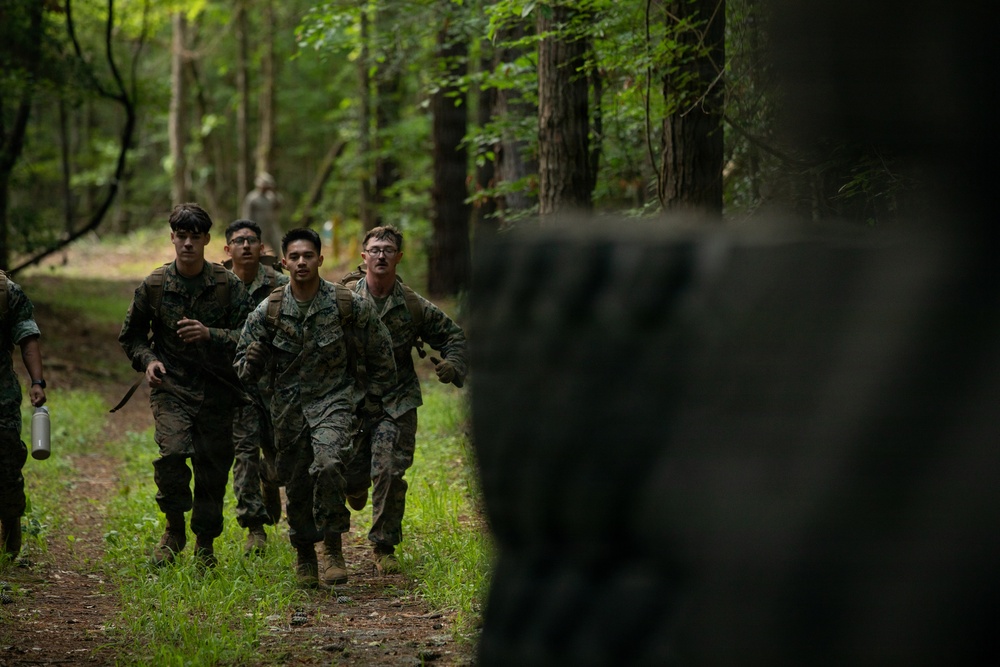 2nd Marine Logistics Group Improves Combat Readiness with Endurance Course