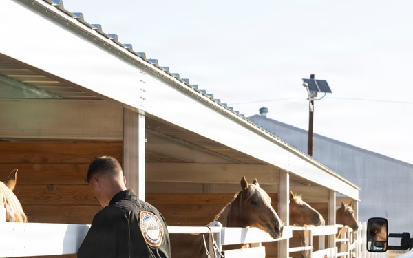 Mounted Color Guard Operations