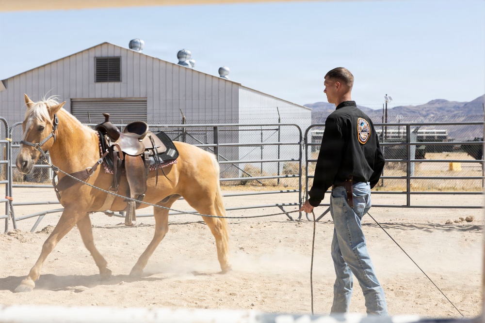 Mounted Color Guard Operations