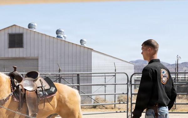 Mounted Color Guard Operations