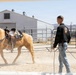 Mounted Color Guard Operations