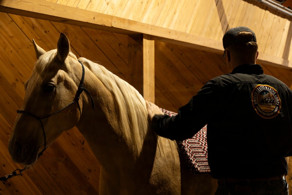 Mounted Color Guard Operations