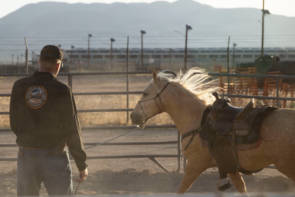 Mounted Color Guard Operations