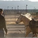 Mounted Color Guard Operations