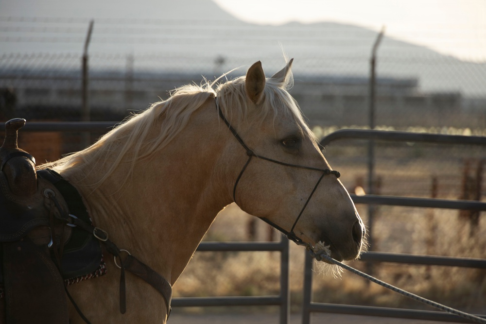 Mounted Color Guard Operations