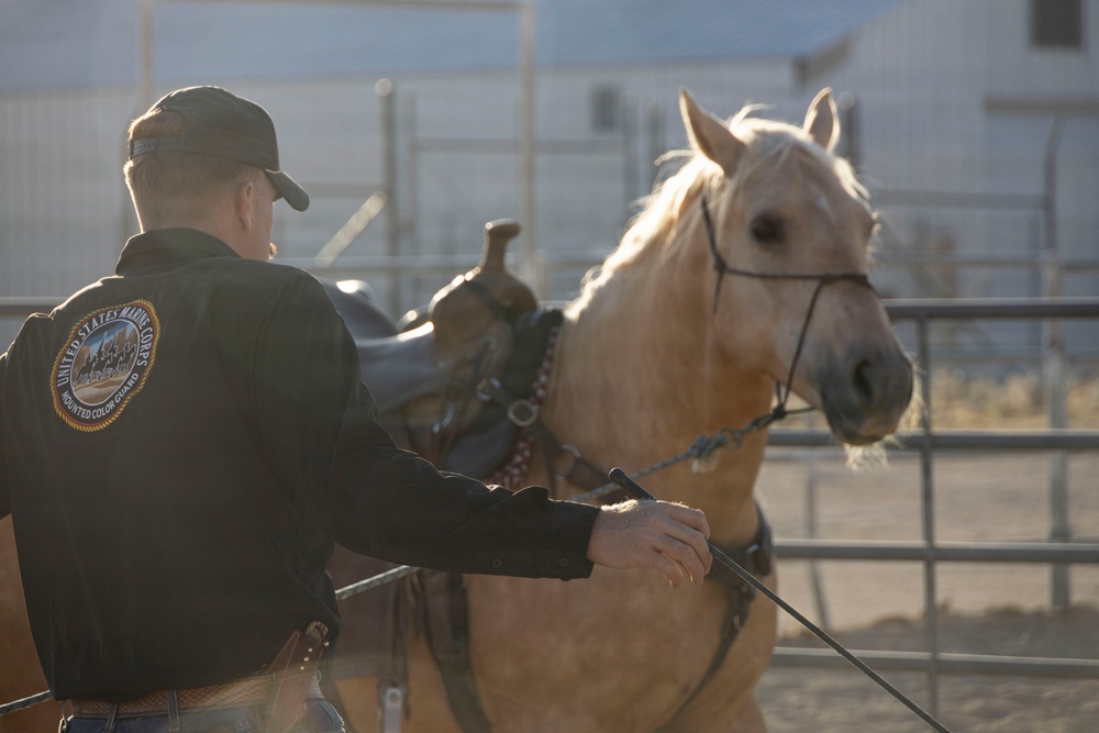 Mounted Color Guard Operations