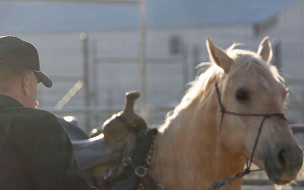 Mounted Color Guard Operations