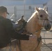 Mounted Color Guard Operations