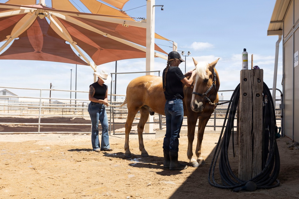 Mounted Color Guard Operations