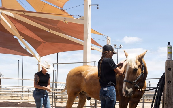 Mounted Color Guard Operations
