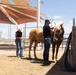 Mounted Color Guard Operations