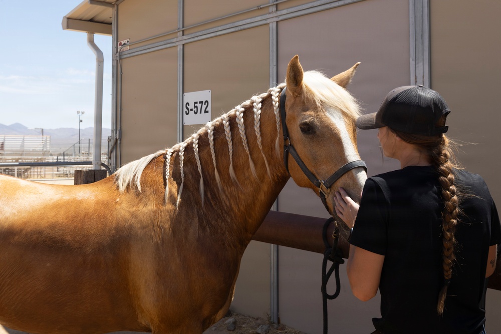 Mounted Color Guard Operations