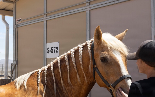 Mounted Color Guard Operations