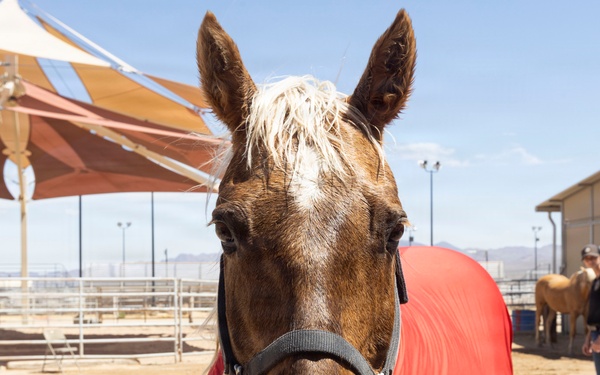 Mounted Color Guard Operations