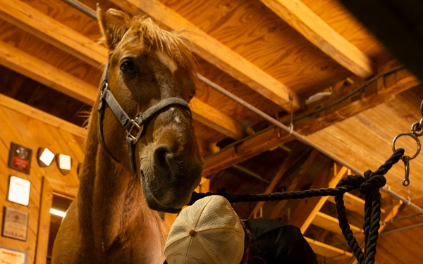 Mounted Color Guard Operations