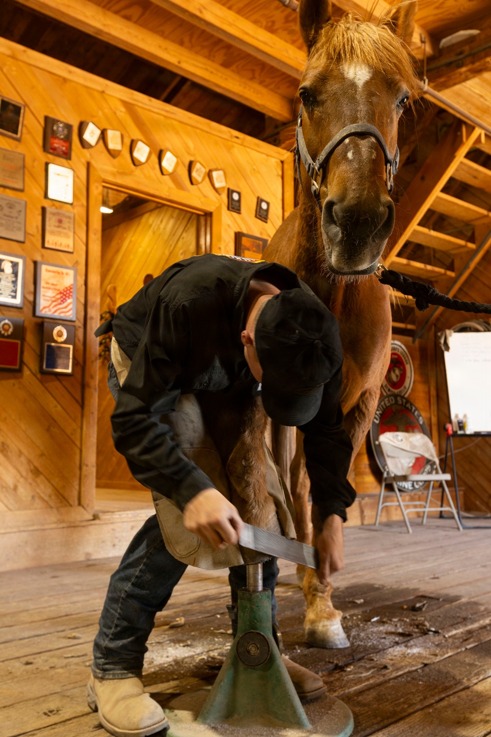 Mounted Color Guard Operations