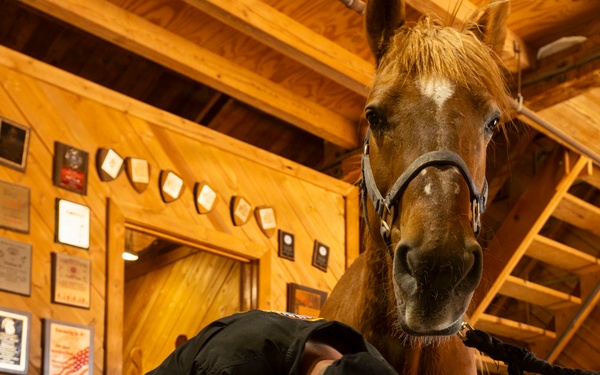 Mounted Color Guard Operations