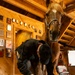 Mounted Color Guard Operations