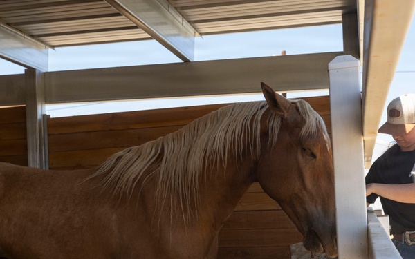 Mounted Color Guard Operations