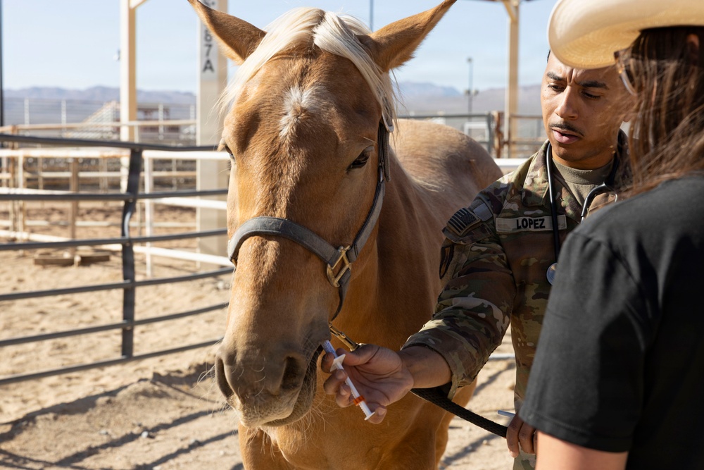 Mounted Color Guard Operations