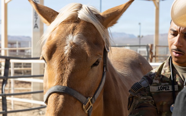 Mounted Color Guard Operations
