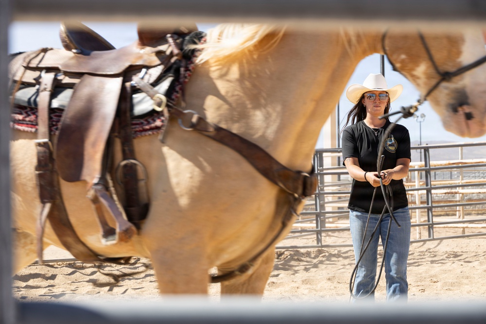 Mounted Color Guard Operations