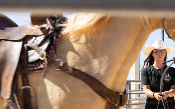 Mounted Color Guard Operations