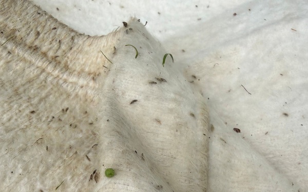 Munson Makes a Difference: Tick Surveillance