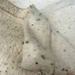 Munson Makes a Difference: Tick Surveillance