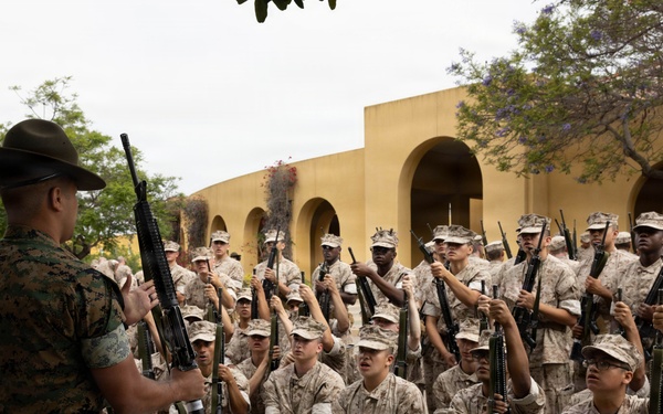 India Company Service Rifle Issue