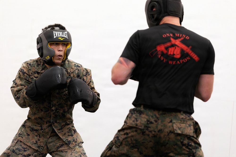 Blount Island Builds Martial Arts Instructors to Strengthen Readiness