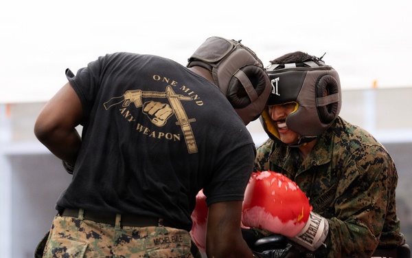Blount Island Builds Martial Arts Instructors to Strengthen Readiness