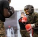 Blount Island Builds Martial Arts Instructors to Strengthen Readiness