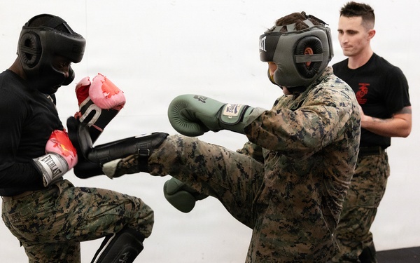Blount Island Builds Martial Arts Instructors to Strengthen Readiness