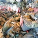 404th Civil Affairs Battalion in Flight for Airborne Operation from JB MDL