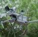 SAREX 2026