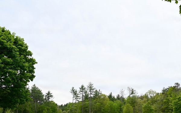 Flags In New Hampshire Veterans Cemetery 2026
