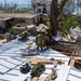 797th EVCC Continues Installations of Temporary Roofs on Saipan