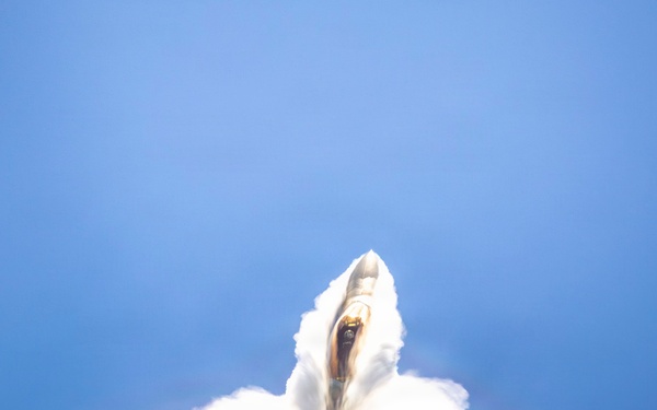 F-22 Demo Team Performs at Miami Air Show