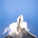 F-22 Demo Team Performs at Miami Air Show