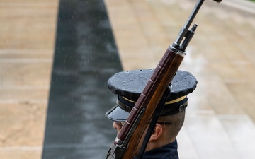 Flowers of Remembrance Day 2026