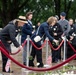 Flowers of Remembrance Day 2026