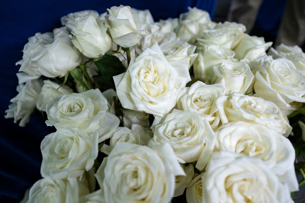 Flowers of Remembrance Day 2026