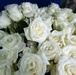 Flowers of Remembrance Day 2026